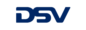DSV logo