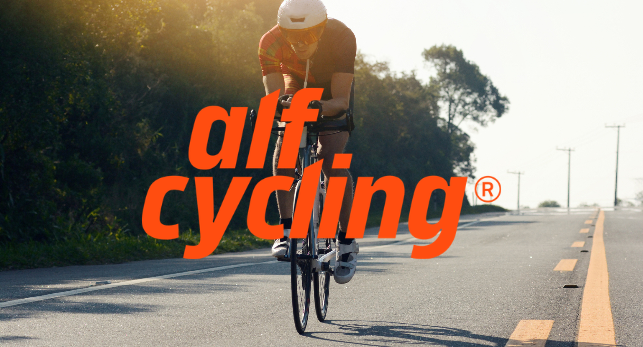 alfcyling rennrad bild